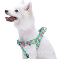 Paisley Flower Green Printing Neoprene Padded Dog Harness